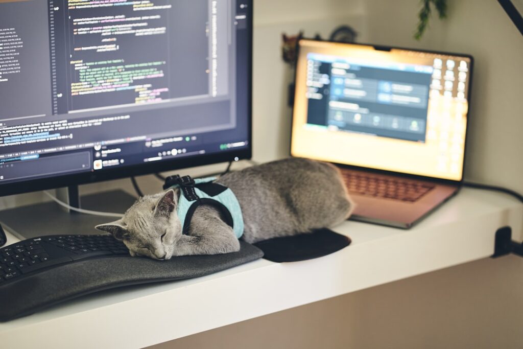 AI productivity software