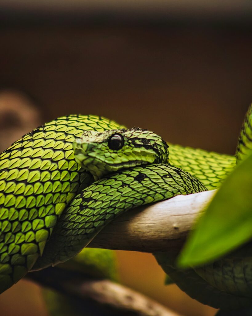 Python automation frameworks
